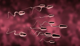 Ενίσχυση και βελτίωση σπέρματος μπορούν να κάνουν οι άνδρες που έχουν πρόβλημα τεκνοποίησης