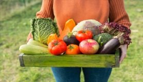 Λαχανικά: Η πολύτιμη θρεπτική αξία τους και οι τρόποι κατανάλωσης τους