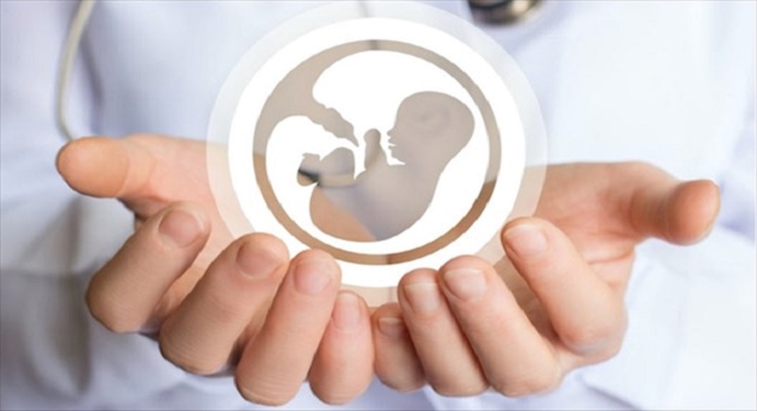 Χοληστερόλη: Μπορεί να επηρεάσει τη γονιμότητα;